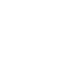 The James Dyson award logo