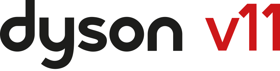 Dyson V11 motif